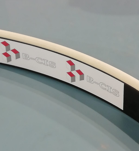 B Cis rolstoel hockey GP Bulls Eindhoven